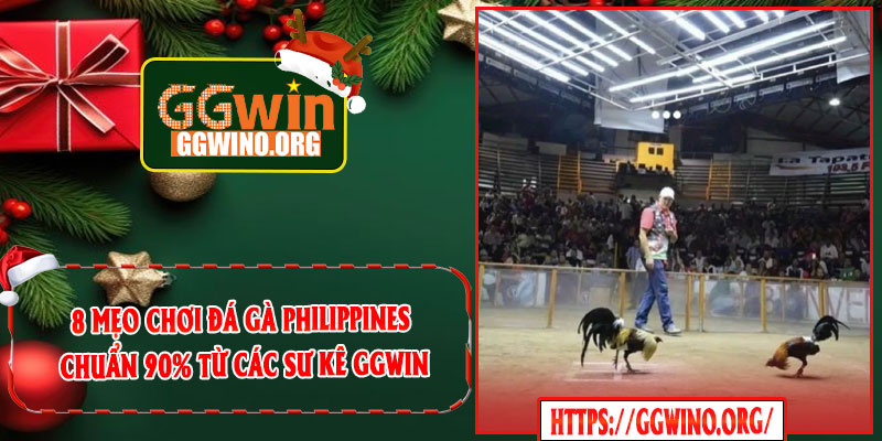 8 Mẹo Chơi Đá Gà Philippines Chuẩn 90% Từ Các Sư Kê GGWIN