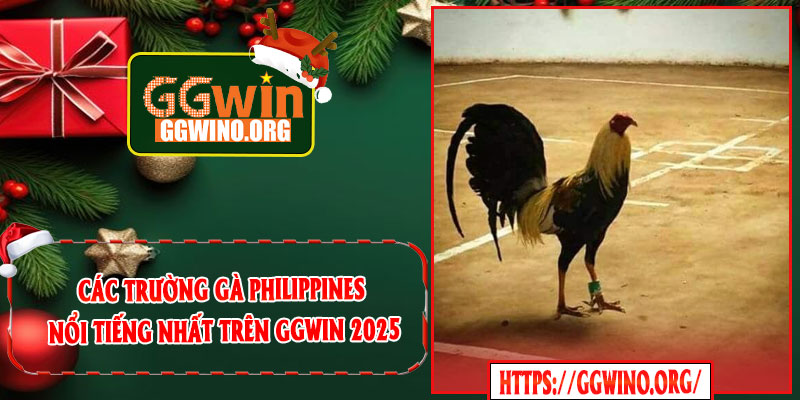 Các Trường Gà Philippines Nổi Tiếng Nhất Trên GGWIN 2025