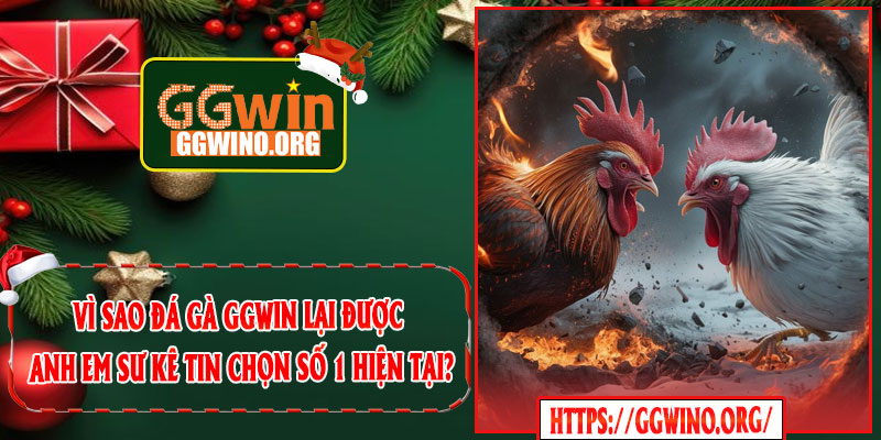 Vì sao Đá Gà GGWIN lại được anh em sư kê tin chọn số 1 hiện tại?